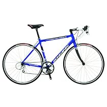 Schwinn Fastback Adult Road Bike