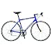 Schwinn Fastback Adult Road Bike