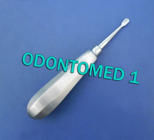 Dental Root Wing Winged Elevator 6mm