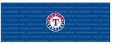 Texas Rangers Team Auto Rear Window Decal