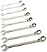 Blackhawk By Proto BW-1400 12 Point Reversible Ratcheting Combination Wrench Set, 8-Piece
