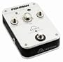 Fishman Aura Sixteen pedal