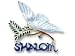 Shalom Silver and Enamel Pin