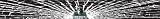 Minnesota Timberwolves Shattered Auto Visor Decal