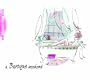 A Baroque Weekend