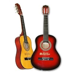 6 String Guitar