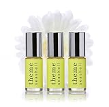 Seashell Grapefruit Citrus Perfume Oil Roll On Theme Fragrance - B003EU6WR8