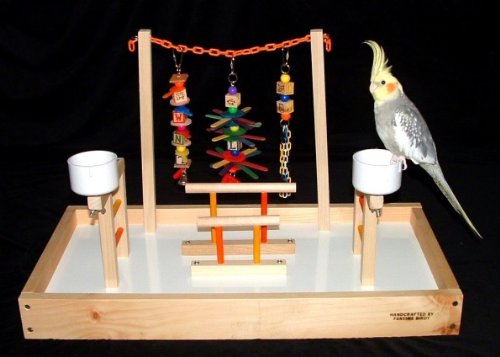 Cockatiel / Conure Playgym (Sophomore)