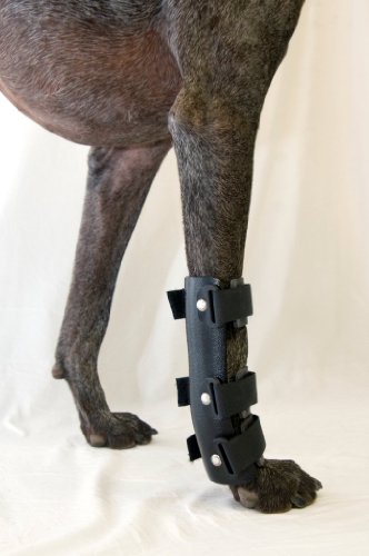 Canine X-Small Carpal Splint