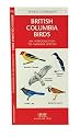British Columbia Birds, 2nd: An Introduction to Familiar Species