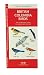 British Columbia Birds: An Introduction to Familiar Species (Pocket Naturalist - Waterford Press) by James Kavanagh