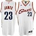adidas Cleveland Cavaliers #23 LeBron James White Home Swingman Basketball Jersey