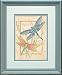 Dragonfly Dance Mini Stamped Cross Stitch Kit-5 Inch x7 Inch