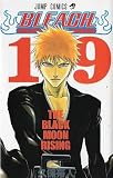 Bleach, Volume 19 (in Japanese)