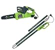 Greenworks 20062 10-Inch 7 amp Electric 2-in-1 Tree Pruner/Chain Saw with 8-Foot Pole Extension