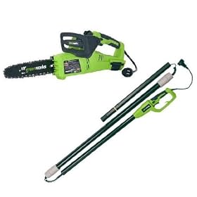 Greenworks 20062 10-Inch 7 Amp Electric 2-in-1 Tree Pruner Chain Saw With 8-Foot Pole... by 