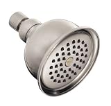 Danze Opulence Collection Victorian Style Showerhead (D461730BN)