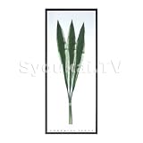F-style リーフパネル・Phormium tenax / ニューサイラン　425x1015x30mm 2.8Kg