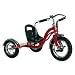 Schwinn Roadster 12-Inch Trike (Red)