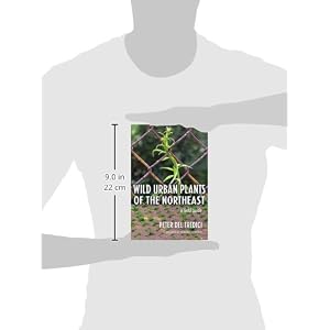 Wild Urban Plants of the Northeast: A Field Guide