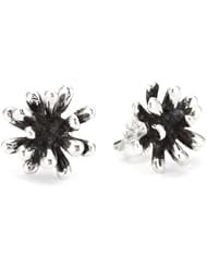 Zina Sterling Silver Fireworks Collection Earrings