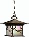 Kichler Lighting 10921DCO Morris 1-Light Fluorescent Outdoor Pendant, Distressed Copper Finish with Inside-Etched Iridized Seedy Glass