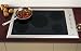 Kitchen & Housewares : Fisher & Paykel : CE901 - 36 In Electric Cooktop -Stainless