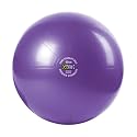 GoFit PREMIUM Core Stability Ball with Workout DVD (65 cm)