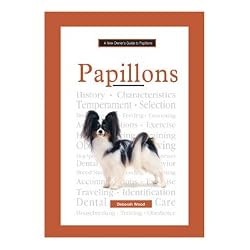 A New Owner's Guide To Papillons