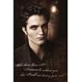 Twilight New Moon Robert Pattinson 24x36 Poster Print, 24x36 Poster Print, 24x36