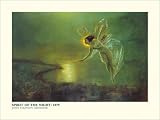 John Atkinson Grimshaw (Spirit of the Night) Art Poster Print - 24 X 32