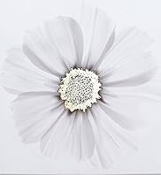 Metallic X-Ray Flower Wall Art
