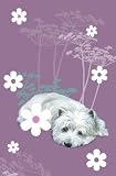 Daisy Daisy West Highland White Terrier Tea Towel