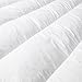 Feather Bed | Pillow Top Mattress Topper | Free Cover Included | This Luxurious Mattress Pad Is the Perfect Addition to Your Current Mattress. (Queen)