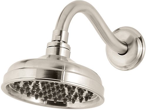 Price Pfister Rain Can Showerhead with Decorative Arm