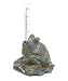 Frog Rain Gauge