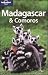Books : Lonely Planet Madagascar & Comoros (Lonely Planet Madagascar) (Multi Country Travel Guide)
