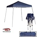 Light-Duty - Portable 10' x 10' Folding Aluminum Canopy - Blue, Light Weight Instant Canopy