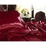 NEW SATIN SHEET SET WITH PILLOWCASES, QUEEN, BURGUNDY