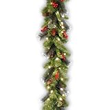 National Tree Crestwood Spruce Garland with Silver Bristle, Cones, Red Berries and Glitter with 50 Battery Operated Soft White LED  Lights, 9-Feet x 10-Inches
