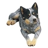Australian Cattle Dog Original Size Sculpture by Sandicast