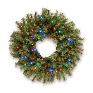 24" Norwood Fir Wreath