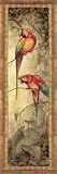 Macaw II By Steve Butler. ART PRINT Size: 12 x 36 Inches