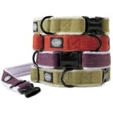 Planet Dog Cozy Hemp Adjustable Collar, Apple Green, Medium
