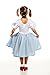 Kidcostumes Child's Dorothy Costume Dress for The Wizard of Oz, Small 4/6