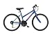 Roadmaster 24 inch Girl's Mt. Fury Bike