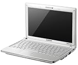 Samsung NC10-anyNet 10,2 Zoll WSVGA Netbook (Intel Atom N270 1,6Ghz, 1GB RAM, 160GB HDD,  Windows XP Home)
