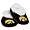Iowa Hawkeyes
