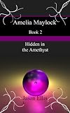 Hidden in the Amethyst