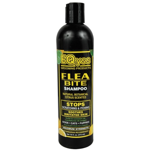 Flea Bite Dermatitis Shampoo By Eqyss - 16 oz